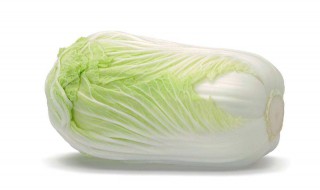 白菜怎么种植方法 白菜怎么种植方法家里