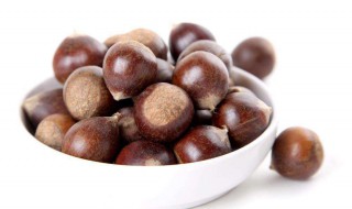 板栗传播种子的方法 板栗传播种子的方法有哪些