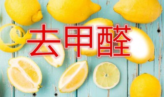 除甲醛好方法（除甲醛方法对比）