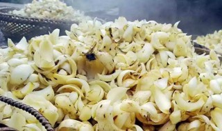 百合储存方法 百合的最佳储存方法