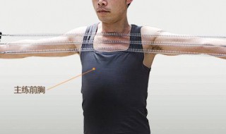 拉力器的锻炼方法（8字拉力器的锻炼方法视频）