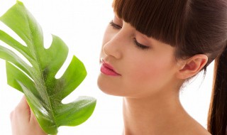 植物标本制作方法 植物标本制作方法简单