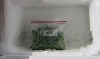 豆角冷冻储存的方法（茄子冷库储存保鲜方法）