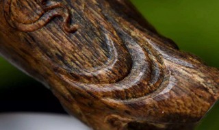 沉香木鉴别方法 沉香木鉴别方法和保养方法