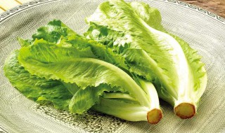 生菜吃多了有什么危害 生菜吃多了有什么危害生菜里有草酸吗