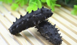 海参怎么保存方法 泡好的海参怎么保存方法