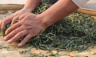 生普洱怎么保存好 生普洱如何保存