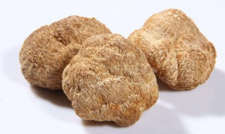 猴头怎么保存方法 猴头怎么保存方法最好