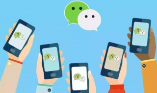 微信怎么改性别（微信怎么改性别男女）