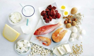 蛋白质食物（蛋白质食物有哪些食物排行表）