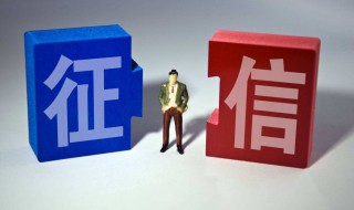 如何查询自已的征信 如何查询自已的征信记录