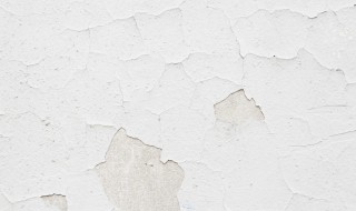 墙皮冒碱的补救方法（墙皮起碱是什么原因）