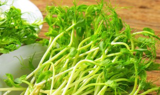 无须豌豆苗种植方法 无须豌豆苗的种植方法和时间