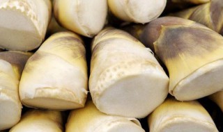 新鲜甜笋的储藏方法（新鲜甜笋的储藏方法有哪些）