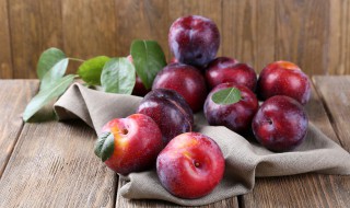 怎么种脆李子的方法 脆李子怎么催熟