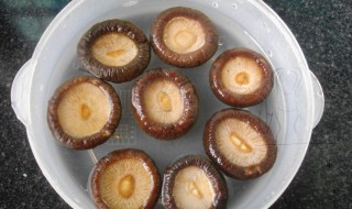 快速浸泡香菇的方法（快速浸泡香菇的方法窍门）