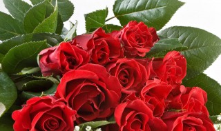 九个方法增强记忆力（老年人九个方法增强记忆力）