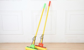 海绵托把的清洗方法（海绵托把怎么洗才能干净）