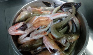 粘鱼怎么处理怎么做（鲶鱼的家常做法）