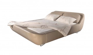 皮床生小虫怎么处理（皮床生小虫怎么处理好）