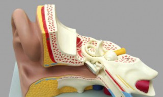 湿耳垢怎么自己处理 湿耳垢怎么自己处理干净