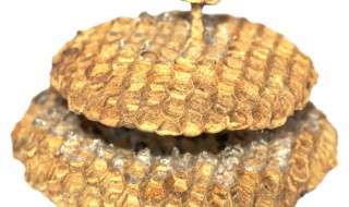 快速消灭蜂窝的方法 如何消灭蜜蜂窝