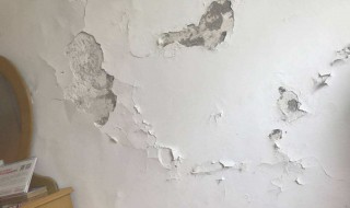 墙壁上的石灰怎么处理 墙上的石灰怎么弄掉