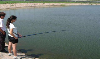 鱼池中有青苔怎么处理（鱼池有青苔怎么办）
