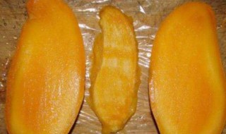 芒果种子怎么处理发芽（芒果种子怎么才能发芽）