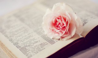 心态正能量（心态正能量早安朋友圈）