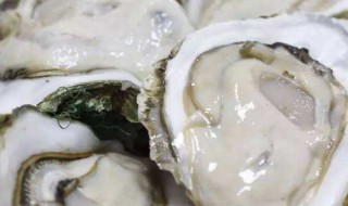 生蚝怎么处理好（生蚝怎么处理好吃）
