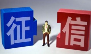 个人信用报告查询后怎么看 个人信用报告查询后怎么看明细