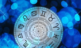 十二星座梦想 十二星座梦想是什么