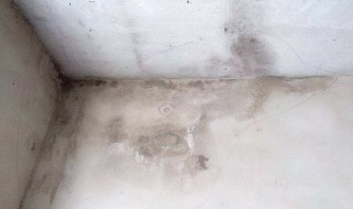 墙角发霉烂了怎么处理（墙角发霉烂了怎么处理好）