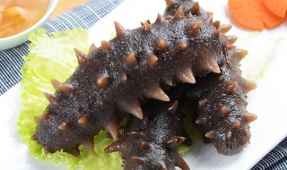 鲜冻的海参怎么处理（鲜冻的海参怎么处理干净）