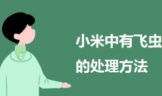 小米中有飞虫怎么处理 小米里有小飞蛾是怎么回事