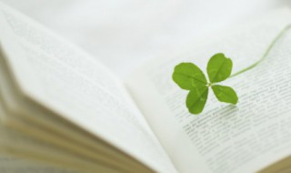 美到窒息的古风句子（美到窒息的古风句子励志）