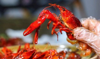 小龙虾的虾鳃怎么处理掉（小龙虾的鳃能不能吃）