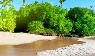 时间与人生感悟 时间与人生感悟图片