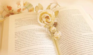 人生短暂感悟的句子（人生短暂感悟的句子发朋友圈）