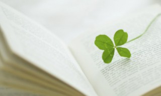 诗和远方的励志句子（诗和远方的励志句子是谁写的）