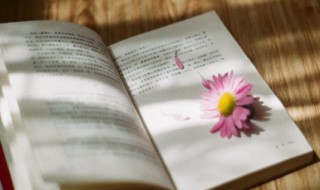 团结的句子励志（班级团结的句子励志）