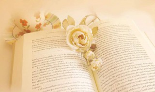 青春奋斗梦想励志句子 青春逢盛世,奋斗正当时演讲稿