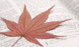 减肥励志的句子（减肥励志的句子发朋友圈搞笑）