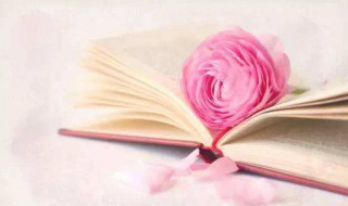 健身励志的句子 健身励志的句子致自己简短