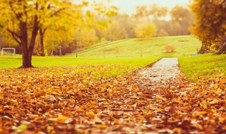 秋天伤感的句子 秋天伤感的句子短句唯美