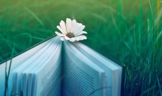 勇往直前的励志句子（勇往直前的励志句子简短）