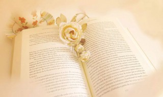 辛苦付出有收获的句子（辛苦付出有收获的句子简短）