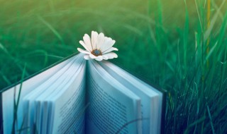 心灵鸡汤短句 心灵鸡汤短句八字