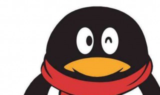 qq群号在哪里看（qq群号在哪里看只有二维码）